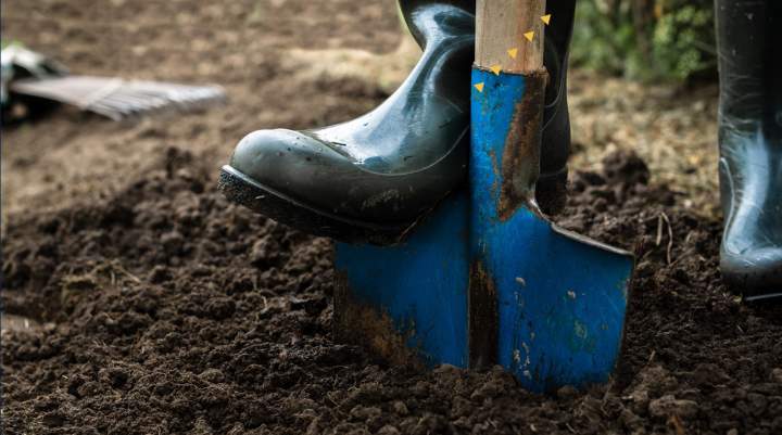 Home & Garden Deep Dive: Spade