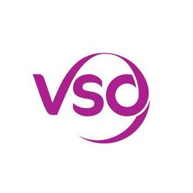 VSO logo