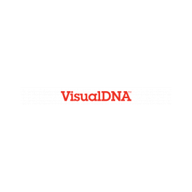 VisualDNA logo