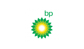 BP International Ltd  logo