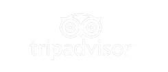 TripAdvisor logo